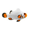 Picasso Clown Platinum (Amphiprion Percula) Captive-Bred
